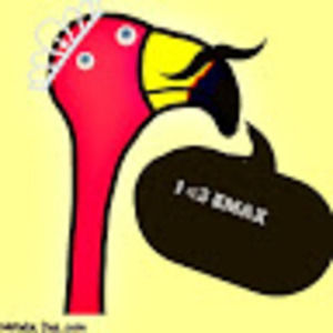 Meet your Posher, Katelyn